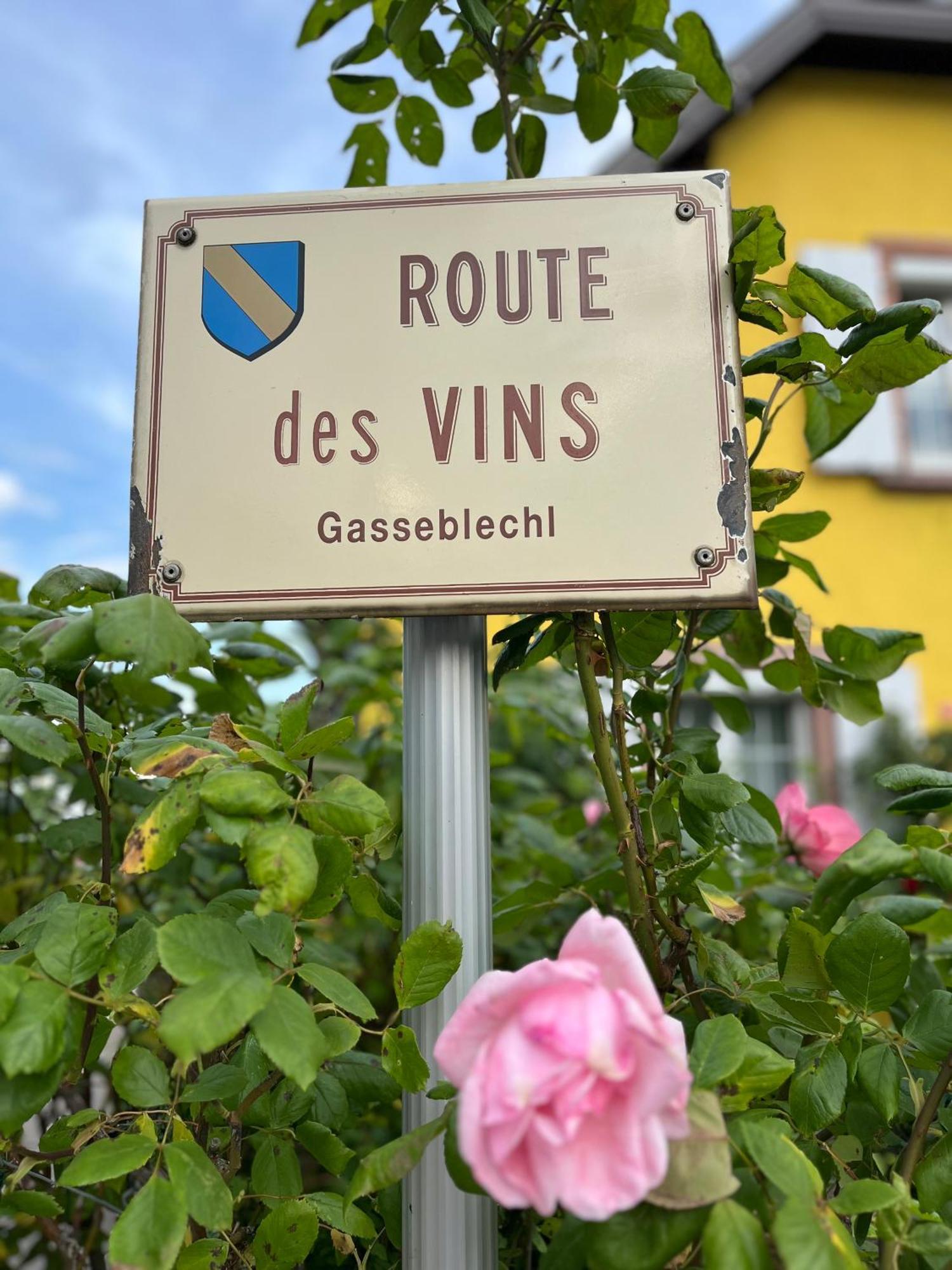 La Terasse Des Vignes - Maison 2 Chambres - 4 Personnes Blienschwiller Eksteriør bilde