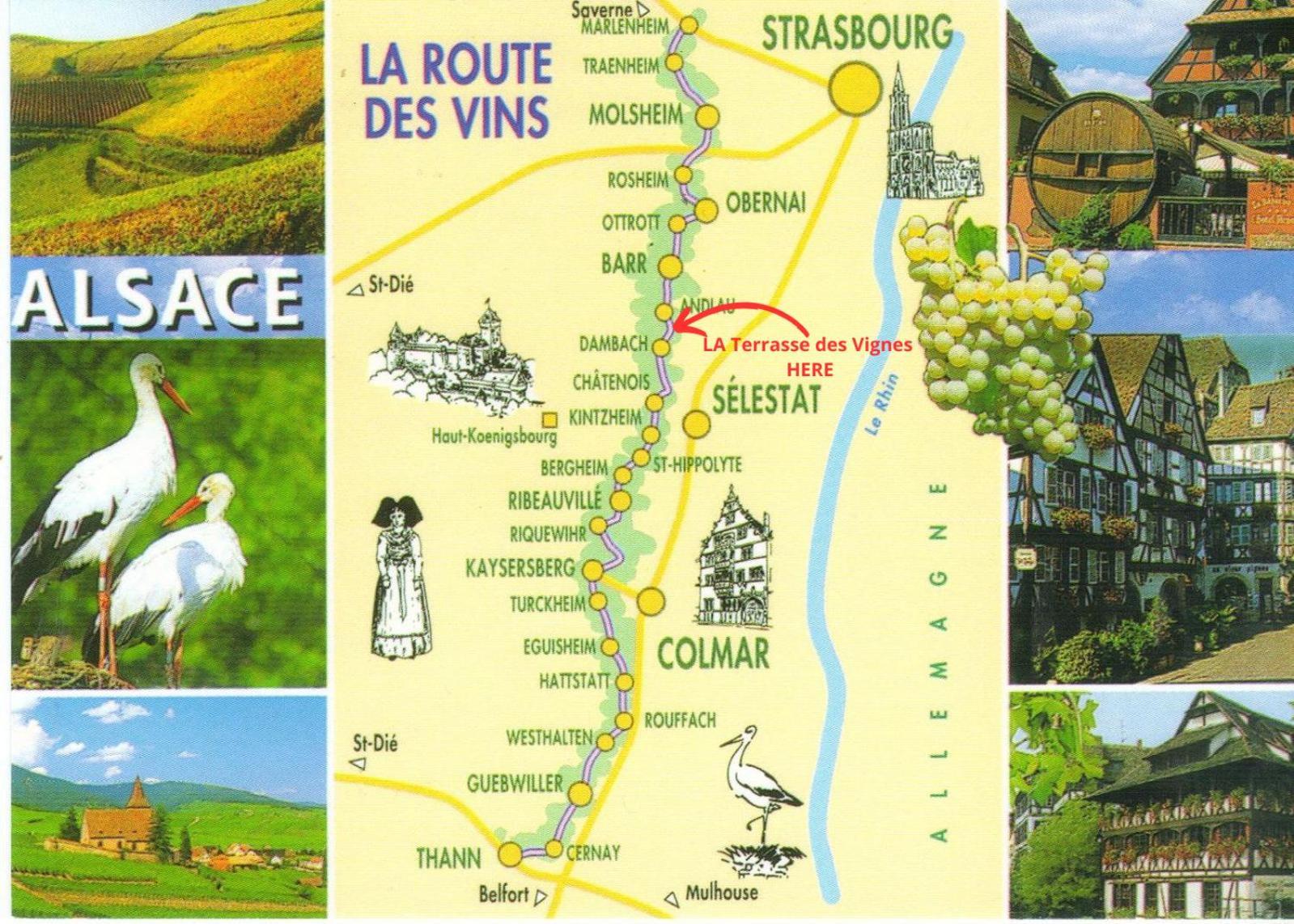 La Terasse Des Vignes - Maison 2 Chambres - 4 Personnes Blienschwiller Eksteriør bilde